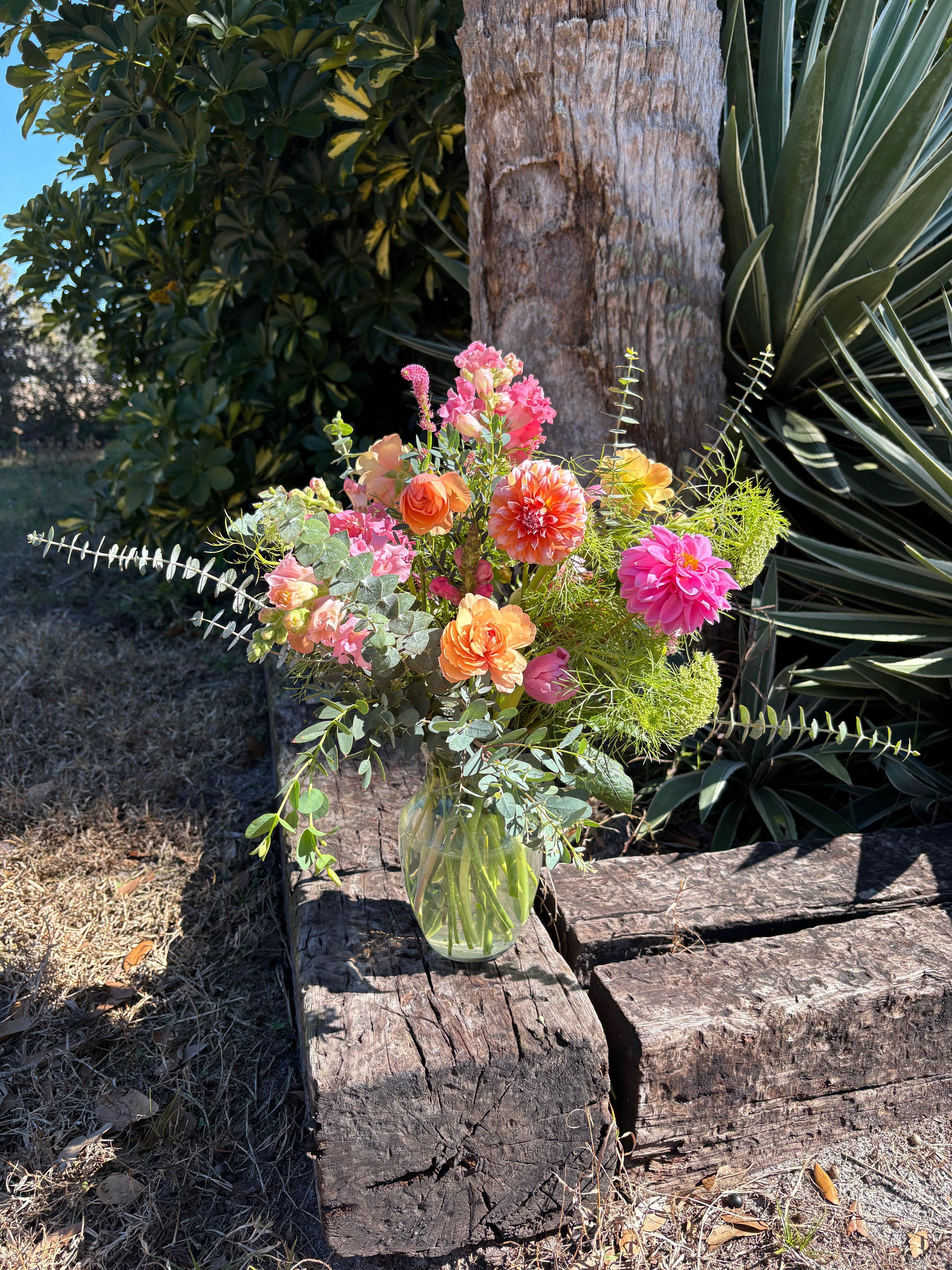 Blooms