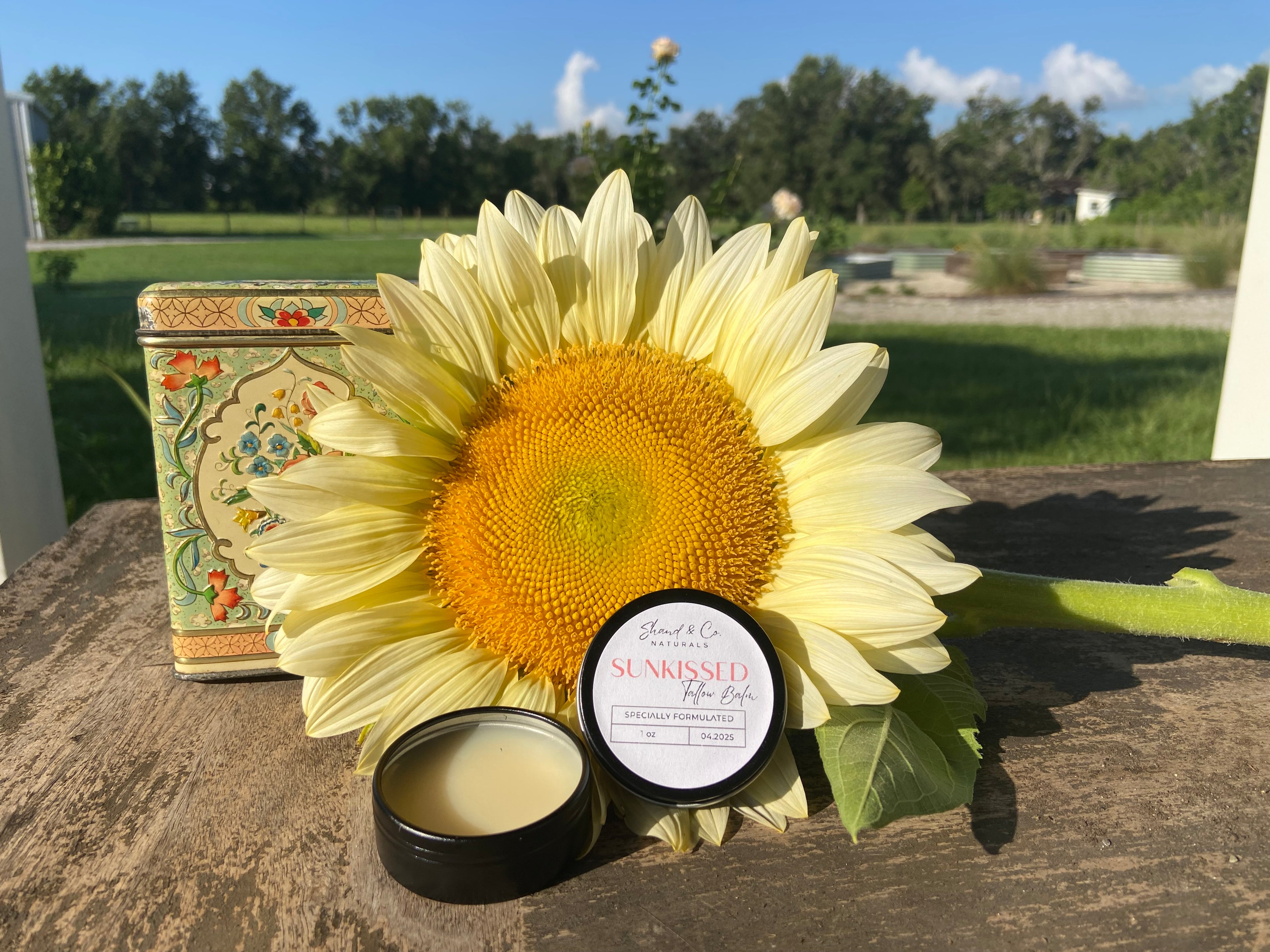 tallow balm